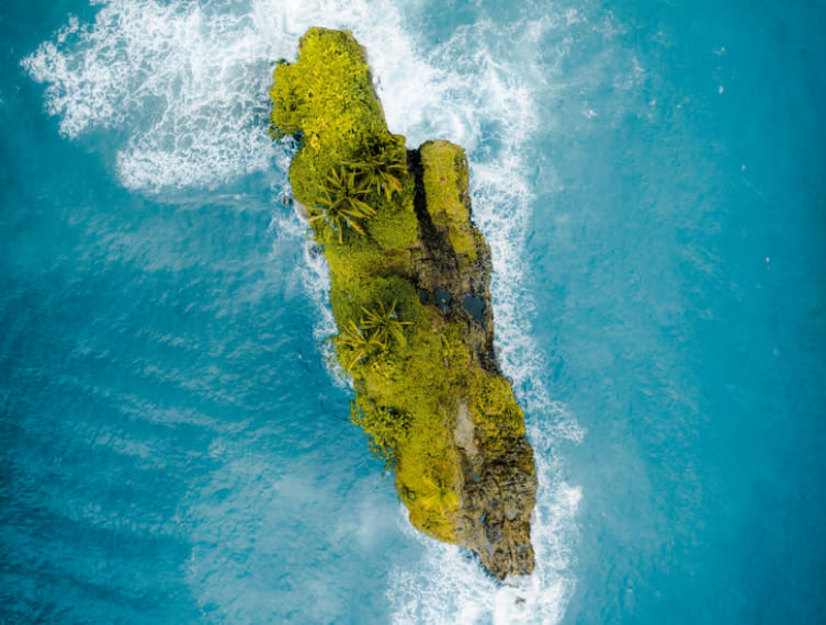 New Zealand Sugar Dating